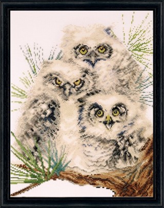 click here to view larger image of Owl Trio (counted cross stitch kit)