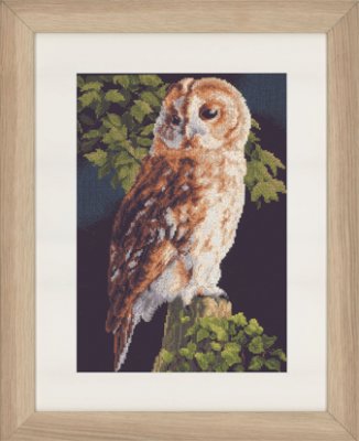 click here to view larger image of Owl (counted cross stitch kit)