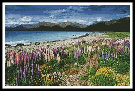 click here to view larger image of Lake Tekapo, New Zealand  (chart)