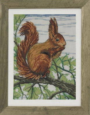 click here to view larger image of Squirrel (counted cross stitch kit)