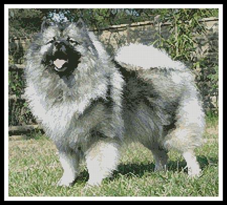 click here to view larger image of Keeshond (chart)