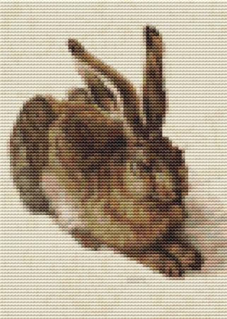 click here to view larger image of Young Hare, The - Mini Chart (Albrecht Durer) (chart)