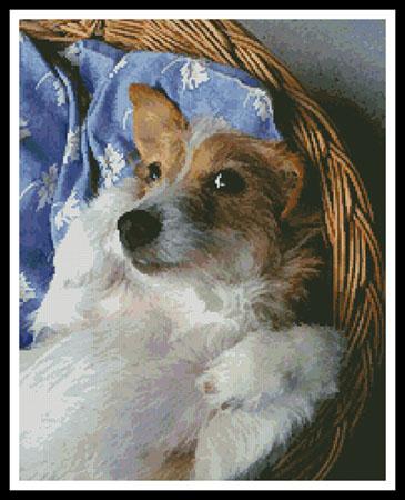 click here to view larger image of Dog In Basket  (T Vanderstelt) (chart)