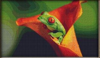 click here to view larger image of Tree Frog on Orange (chart)