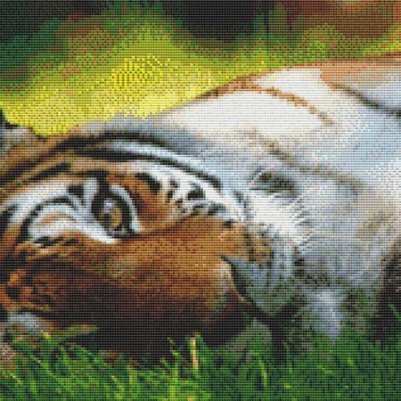 click here to view larger image of Resting Tiger (chart)