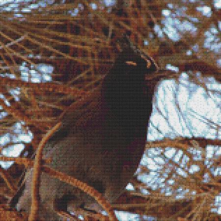 click here to view larger image of Perched Bird (chart)