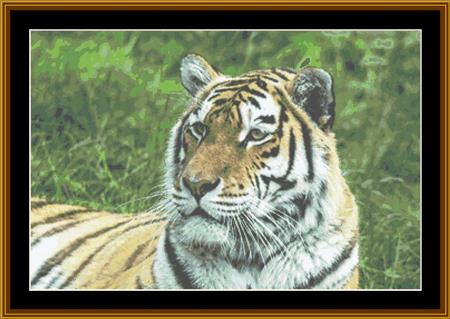 click here to view larger image of Tiger Portrait (chart)