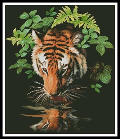 click here to view larger image of Tiger Reflection  (Howard Robinson) (chart)