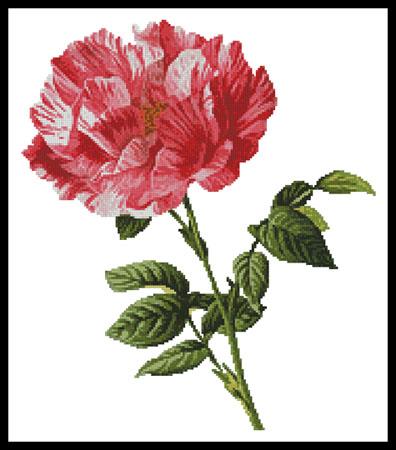 click here to view larger image of Pink Floral (chart)