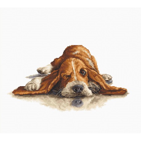 click here to view larger image of Basset (counted cross stitch kit)