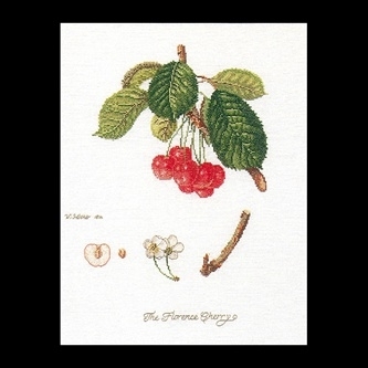 click here to view larger image of Cherries (counted cross stitch kit)