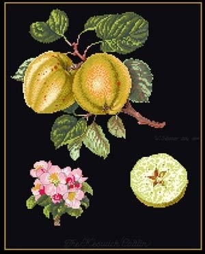 click here to view larger image of Apples  (counted cross stitch kit)