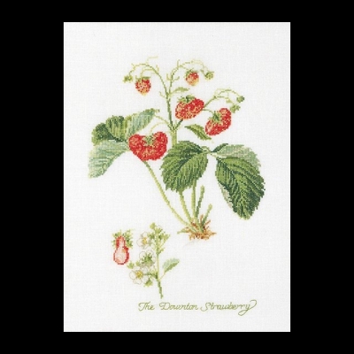 click here to view larger image of Strawberry (counted cross stitch kit)