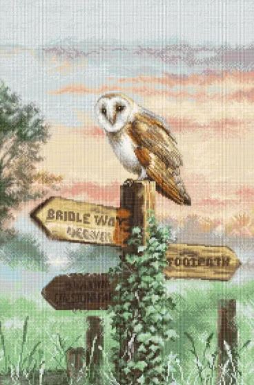 click here to view larger image of Barn Owl (counted cross stitch kit)