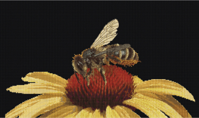 click here to view larger image of Bee on Echinacea (counted cross stitch kit)