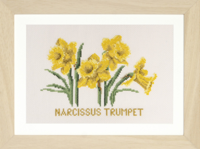 click here to view larger image of Narcissus Trumpet (counted cross stitch kit)