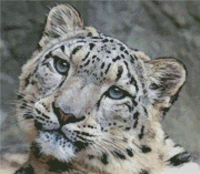 click here to view larger image of Snow Leopard 3 (Mini) (chart)