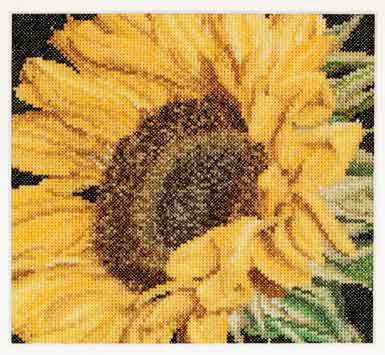 click here to view larger image of Sunflower (counted cross stitch kit)